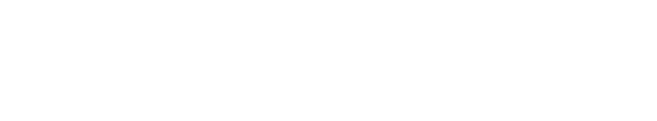 New Potato Technologies Logo